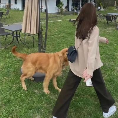 思念